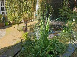 Appartements Apartment Isigny-sur-Mer near Sea : photos des chambres