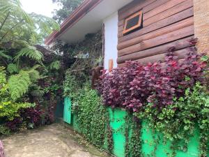 Nuwara Eliya 2020 Wooden Cabin