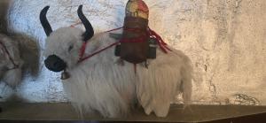 The White Yak Hotel