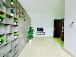 Honeyroom-230 Mễ Trì Thượng