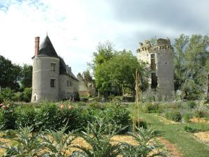 Château exceptionnel avec piscine privée, spa & WiFi - FR-1-381-410