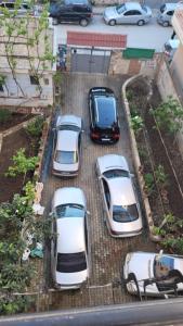 Guesthouse Alemannia