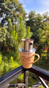 Starry Night Bungalow