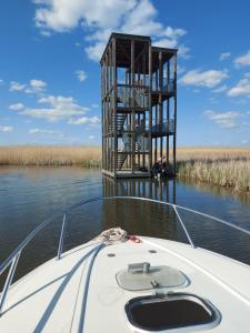 Pacsirta Vendégház