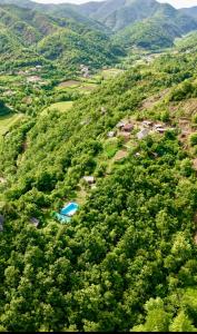 Baven -Toven Naturae