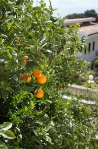 Orizzonte dacqua Palermo