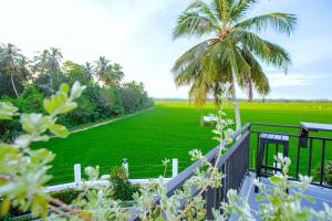 Yara Yala Safari Lodge