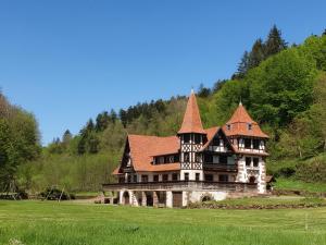 Maisons de vacances Le Saint moulin de La Petite Pierre : photos des chambres
