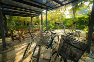 Leafy Greens Chiangmai