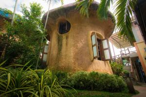 Leafy Greens Chiangmai