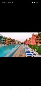 porto south beach عائلات فقط