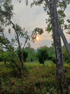 the Kutumb-the Himalayas come alive!