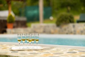 David House Piscina incalzita si jacuzzi