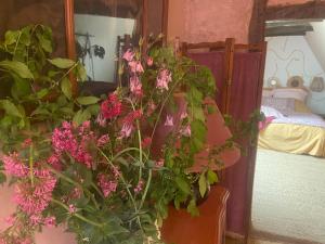 Maisons d'hotes Les ambiances du Coly : photos des chambres