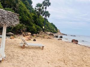 Blue Whale Diving Rest