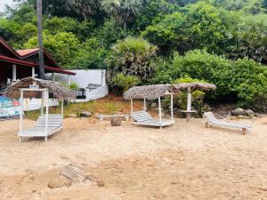 Blue Whale Diving Rest