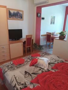 Apartmani Dajak 1