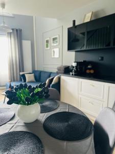 Apartamenty Zamość Sienkiewicza