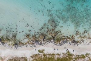 Le Ville di Sofia by BarbarHouse