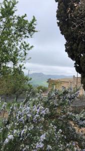 Villa Pietralunga Suite