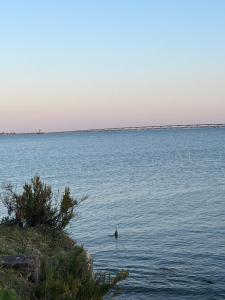 Maisons de vacances Appartement avec jardin et SPA proche centre-ville et plage : photos des chambres