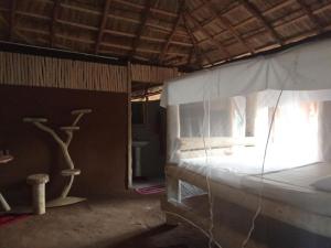 Nature Kingdom Sri Lanka