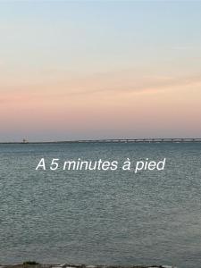 Maisons de vacances Appartement avec jardin et SPA proche centre-ville et plage : photos des chambres