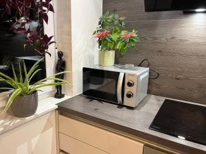 Sunset&Mountain - With Garage Parking