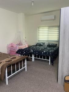 Altamem apartment