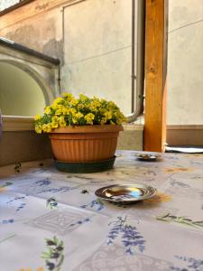 Casa Al Vicolo - Alley House