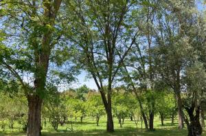 Quinta da Mata de Baixo