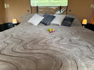 Lodges EcoLodge Libellule dans un petit coin de paradis : photos des chambres