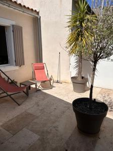 Appartements Bel Appartement Terrasse 4 Etoiles Intra Muros : Appartement 1 Chambre
