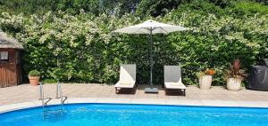 thomas van der vekenlaan