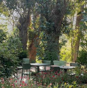 B&B / Chambres d'hotes Chambres d'Hotes Barraconu : photos des chambres