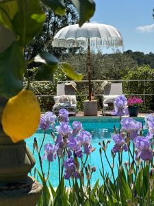 B&B / Chambres d'hotes Cottages at Les Pervenches : photos des chambres