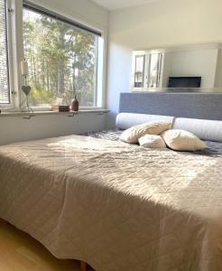 Villa Åhus By The Beach