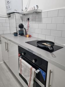 Wembley Stadium and OVO Arena Apartment