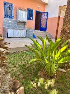Havre de Paix avec Jardin Inspire Majorelle - Coeur d Agadir