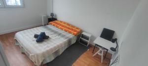 Stanza in Ambiente Calmo e Rilassante