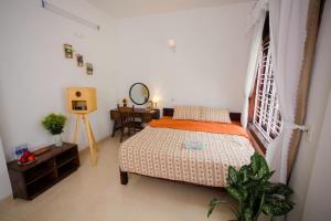 Green homestay, Huế