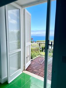 Sorrento Olive Tree Garden