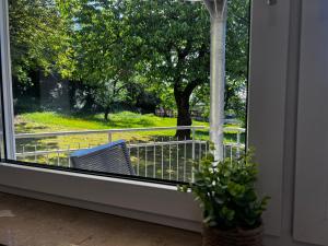 Apartment Ferienwohnung mit Grünem Blick Terrasse & Neu saniert Bordinghaus 24h Check-In in Freudenberg am Main