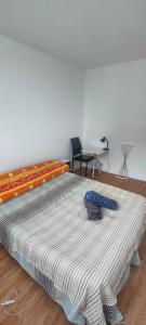 Stanza in Ambiente Calmo e Rilassante