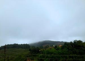 Coorg the Guide homestay