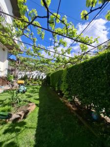 Стаи за гости Върбите