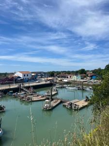 Maisons de vacances Appartement avec jardin et SPA proche centre-ville et plage : photos des chambres