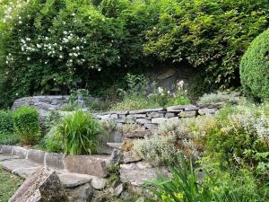 Wild Valley Rustico Anima in Valle Onsernone