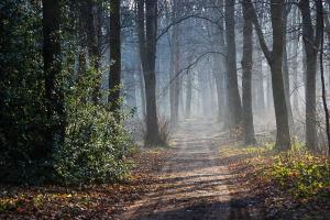 NEW Super 2BD Flat near Dalkeith Town Centre