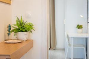 Cozy Blue Vista apartment